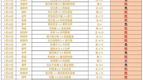 切尔西客场迎战纽卡斯尔：帕尔默&加纳乔领衔，凯塞多、内托蓄势待发！